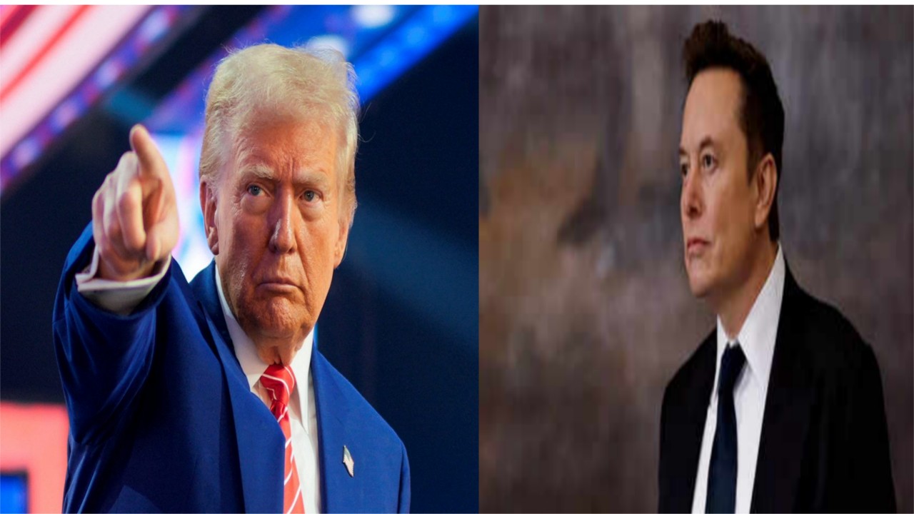 Tramp,elon musk