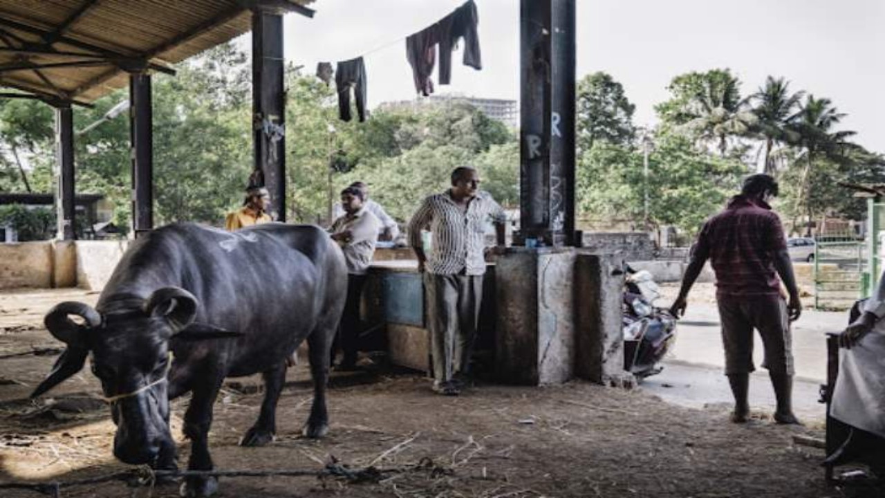 Mumbai