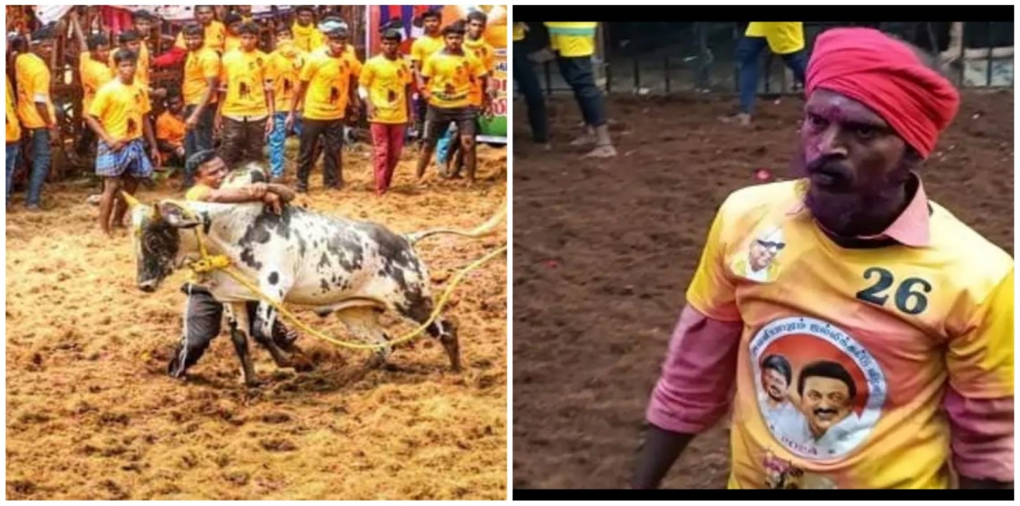 Jallikattu