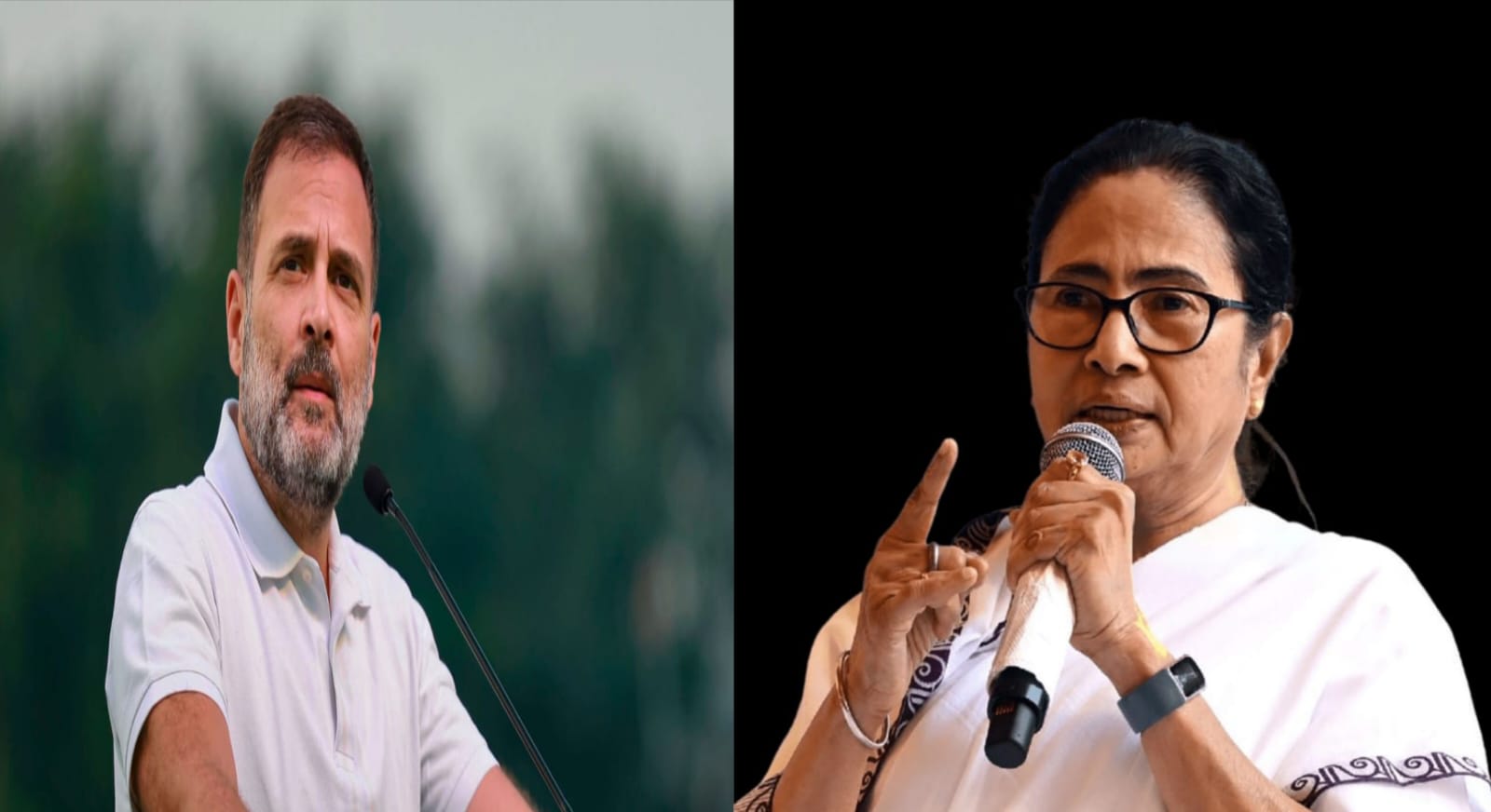 RAHULGANDHI,MAMATABANERJEE