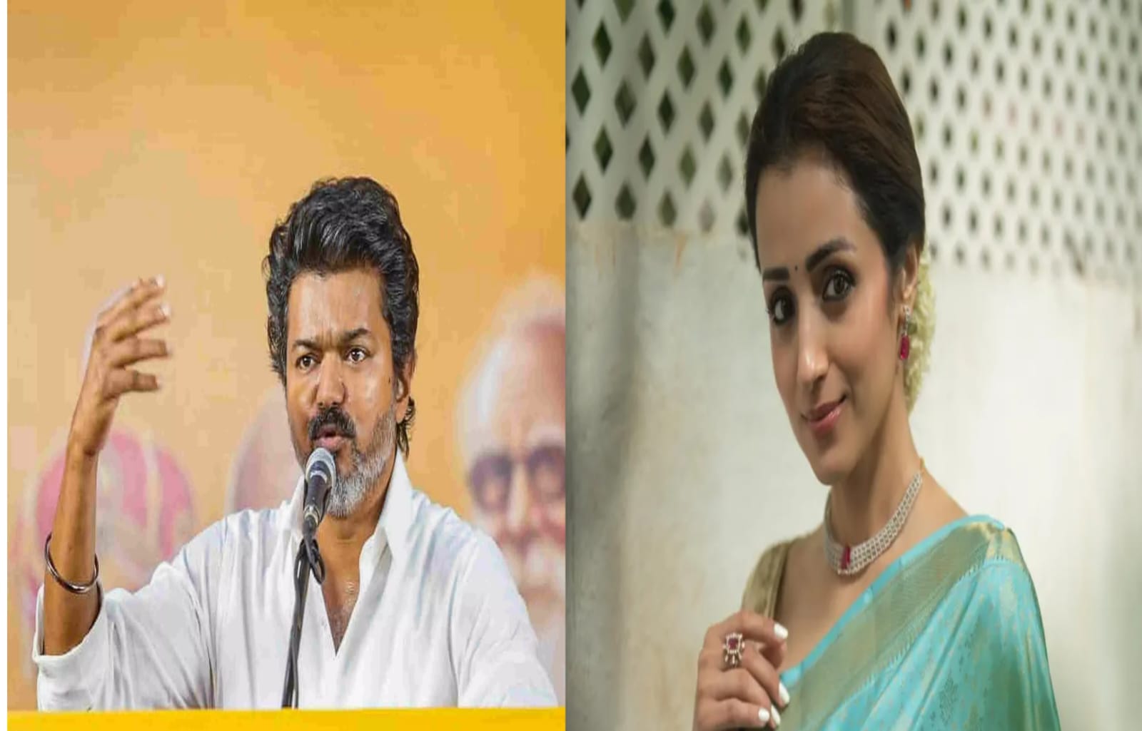 VIJAY,TRISHA