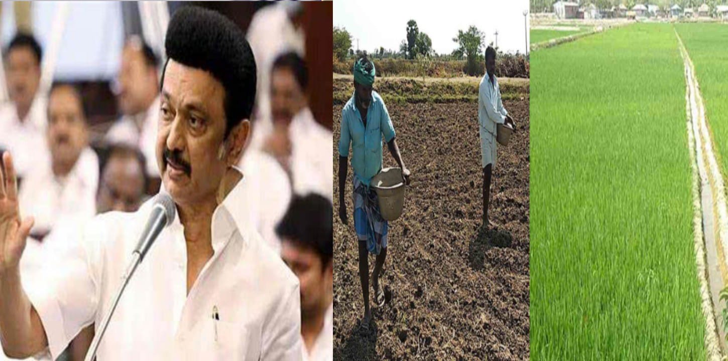 mk stalin